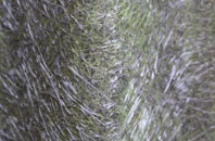 Alport fibreglass roof work